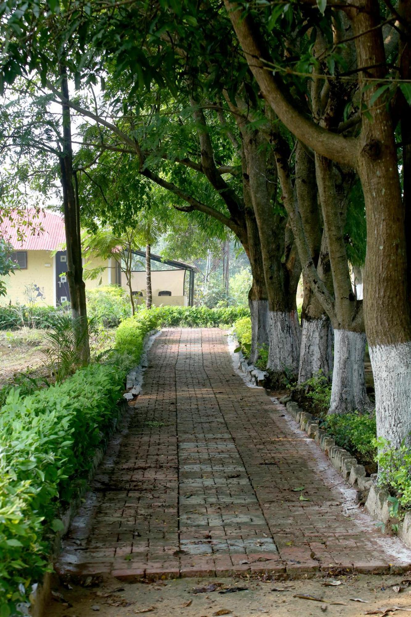 Tribal Wood Resort Dhanwār Extérieur photo